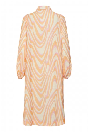 FRARIANA 1 203251 APRICOT 
