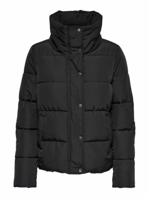 NEWCOOL BLACK