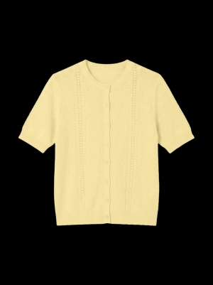 NEWLEX FRENCH VANILLA