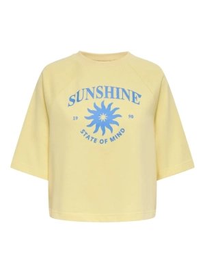 DASY ANISE FLOWER/SU
